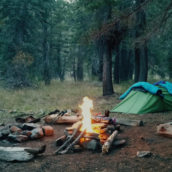 Beskidzki Kurs Przetrwania